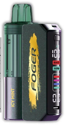 Icy Mint Foger Vape